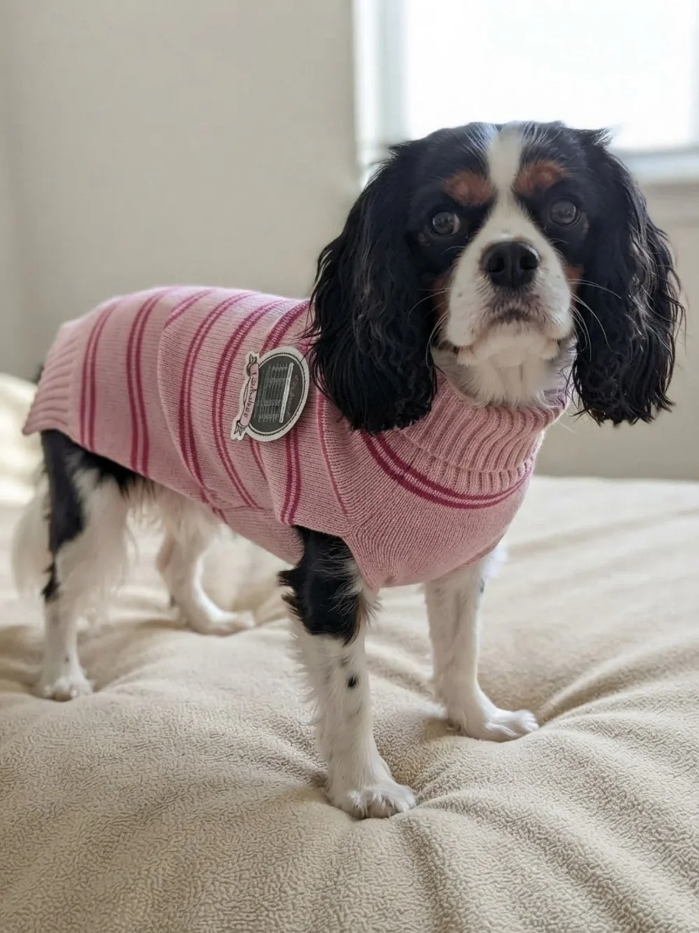 Furbulous Pink Striped Dog Jumper Knit Pet Sweater High Neck Turtleneck Size M